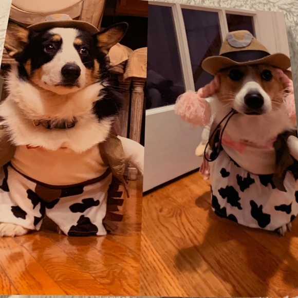 Meet your Posher, Susan - Picture 3 of 3